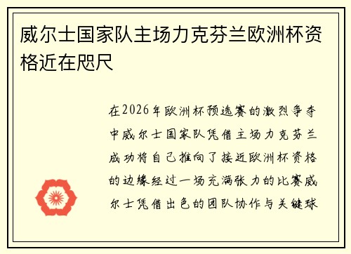 威尔士国家队主场力克芬兰欧洲杯资格近在咫尺