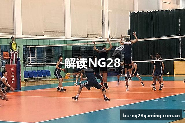 解读NG28